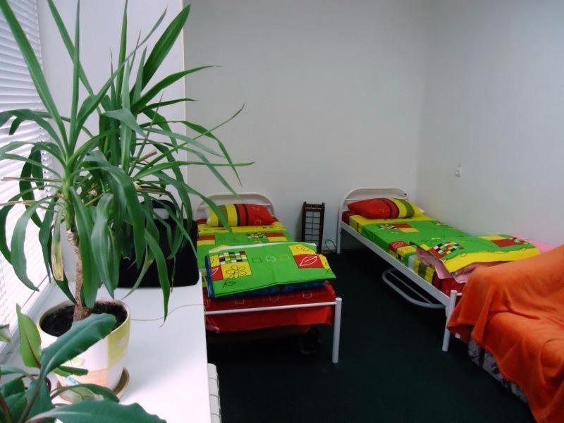 Hostel Kreshatik Kiev Værelse billede